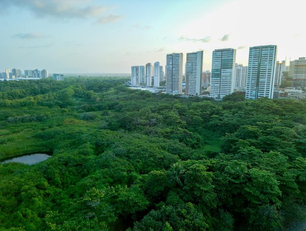 Le guide ultime des portants pour vêtements vintage